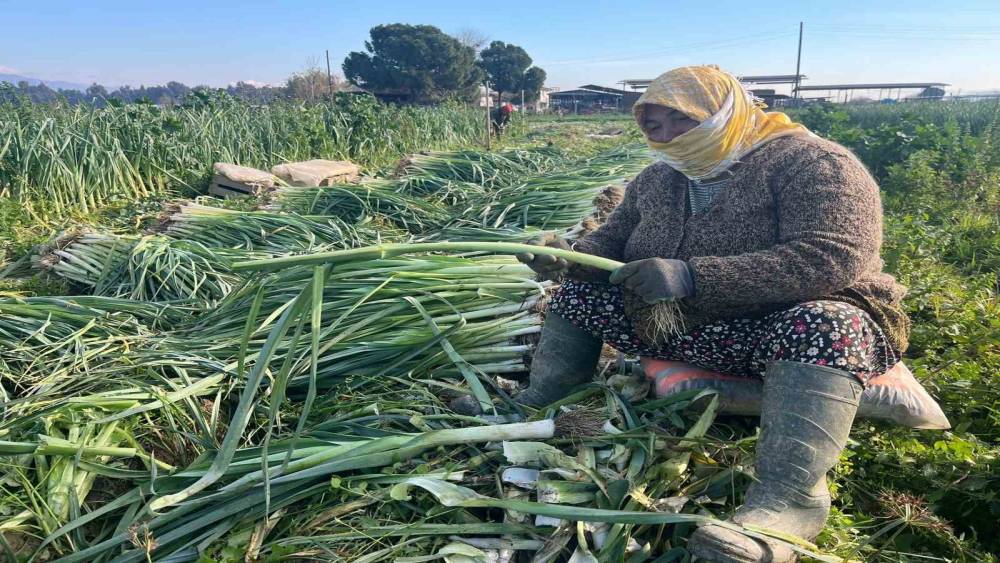 Çalışarak sağlığını koruyor ve ekonomik refahını sağlıyor