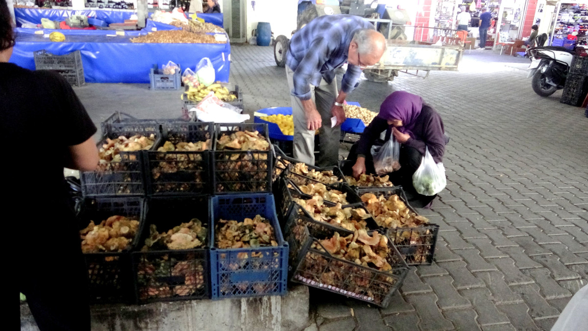 Doğal Lezzet Çıntarlar Tezgahlarda: Kilosu 150 TL