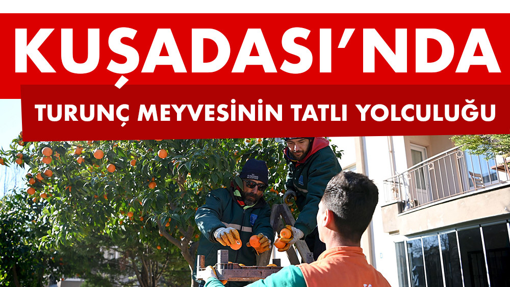 Kuşadası'nda turunç meyvesinin en tatlı yolculuğu başladı